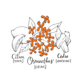 Love Osmanthus - Eau de Parfum