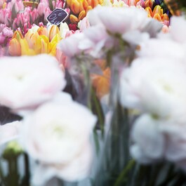 REPLICA  Flower Market - Eau de Toilette