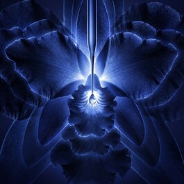 Orchidée Impériale The Essence - Lotiune Concentrata