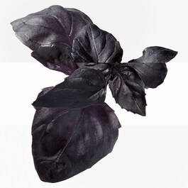 The product image is missing!