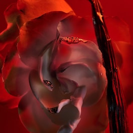Allegra Baciami - Eau de Parfum