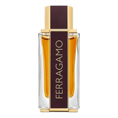 Spicy Leather - Parfum, Salvatore Ferragamo