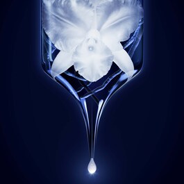 Orchidée Impériale - The Oil in Gel