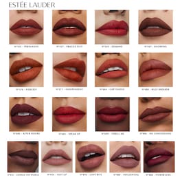 Pure Color Lipstick - Ruj de buze