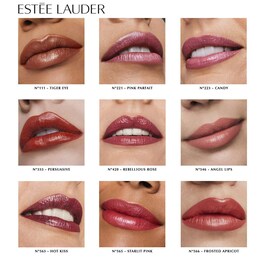 Pure Color Lipstick - Ruj de buze