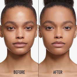 Dior Forever Skin Perfect -  Fond de ten stick multifuncțional