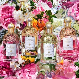 Aqua Allegoria Pamplelune - Eau de Toilette