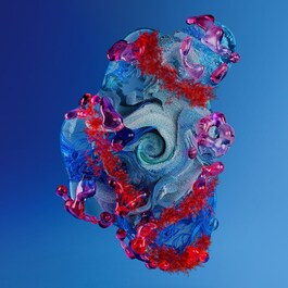Blue Therapy - Crema de noapte cu alge rosii