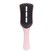 Tickled Pink (Rose claire)