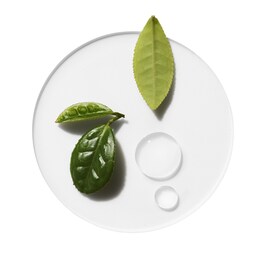 Moisture Surge Overnight Mask  - Masca hidratanta de noapte