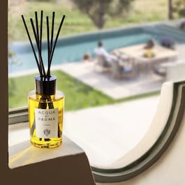 Insieme - Diffuser