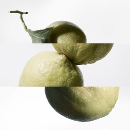 The product image is missing!
