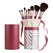 Advanced brush set (8 pc)