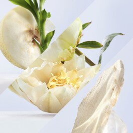 Omnia Crystalline - Eau de Toilette