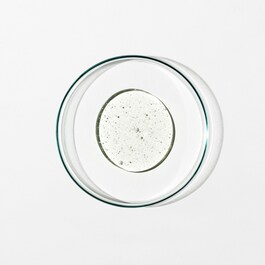 The product image is missing!