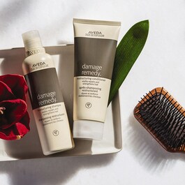 Damage Remedy Restructuring Conditioner