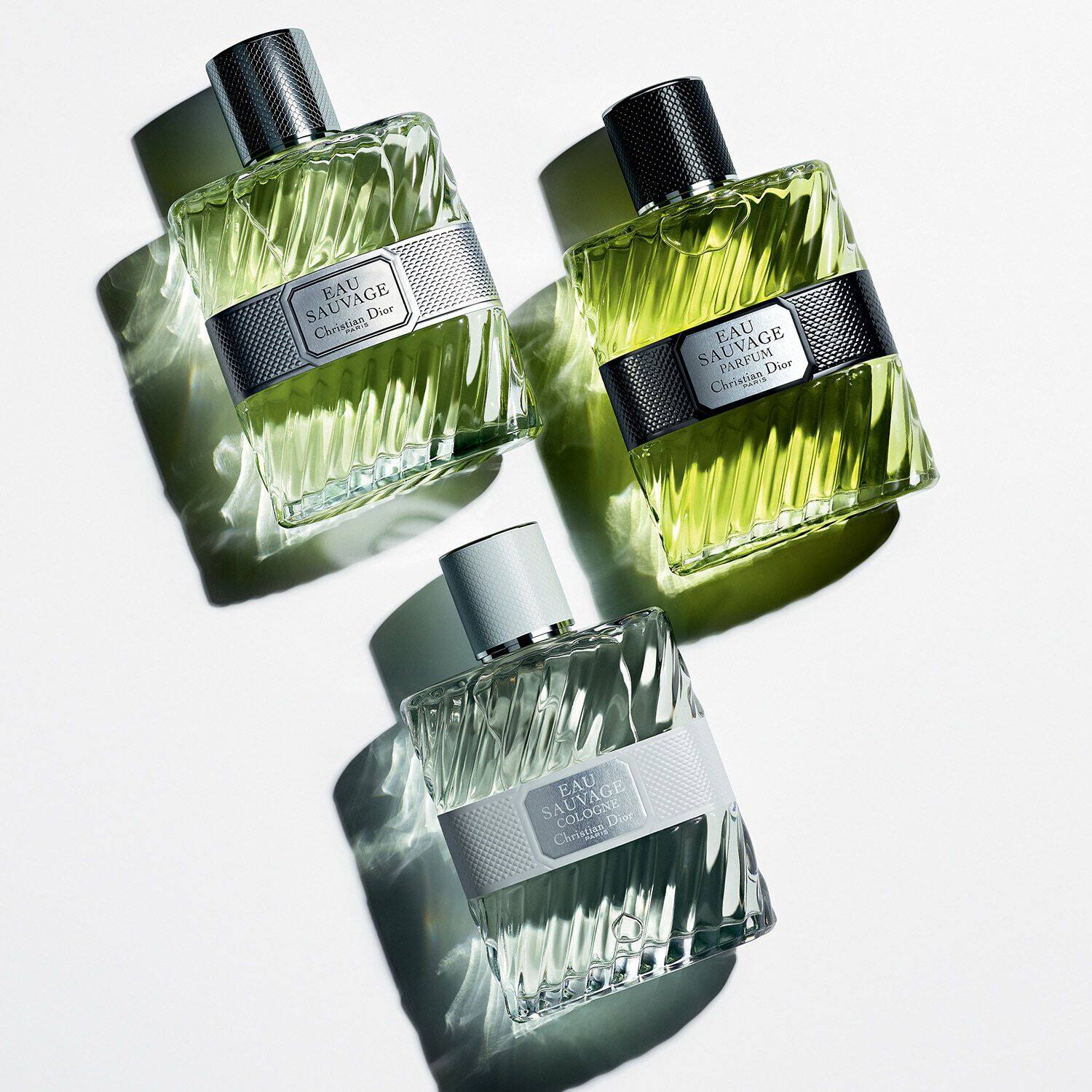 Eau Sauvage Eau de Toilette For Men Note proaspete insorite