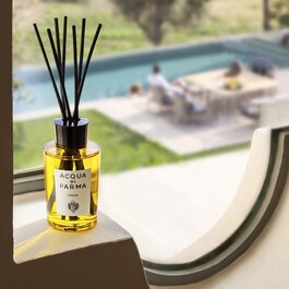 Insieme - Diffuser