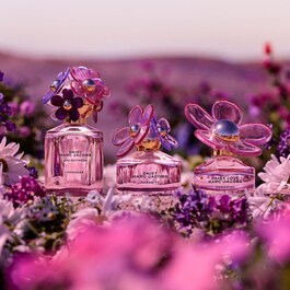 Daisy Paradise Limited Edition - Eau de Toilette
