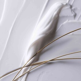 Absolue L'Extrait Elisir Crema Ricarica