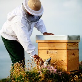 Abeille Royale Black Bee Honey Balm