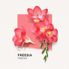 The product image is missing!