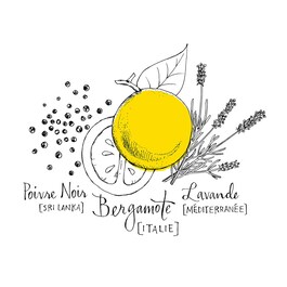 Bergamote Soleil - Eau de Parfum