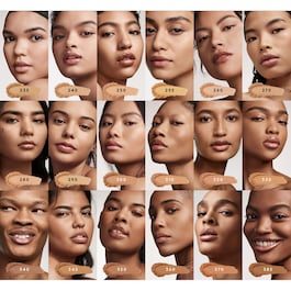 Pro Filt'r Soft Matte Powder Foundation - Fond de ten pudra mat
