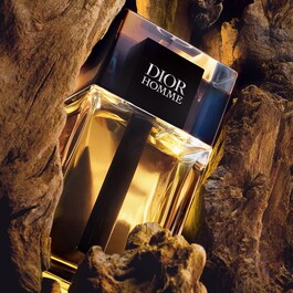 Dior Homme - Eau de Toilette for Men