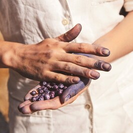 Blu Mediterraneo Mirto di Panarea - Apă de Toaletă Citrică Aromată