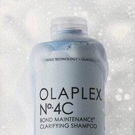 No. 4C Bond Maintenance - Sampon