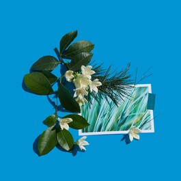 Vétiver Fatal Cologne Absolue - Eau de Parfum