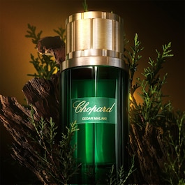 Malaki Cedar - Eau de Parfum