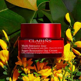 Multi-Intensive Day Dry Skin