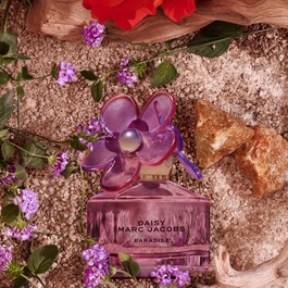 Daisy Paradise Limited Edition - Eau de Toilette