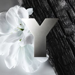 Y - Eau de Toilette