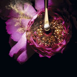 Absolue L'Extrait Elisir Crema Ricaricabile