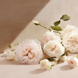 Chloe Fleur de Parfum - Eau de Parfum