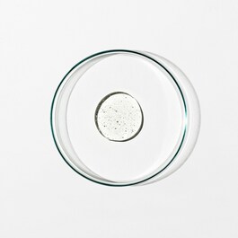 The product image is missing!