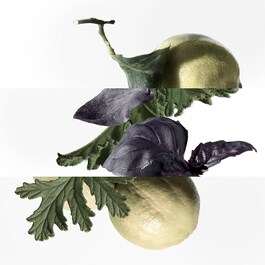 The product image is missing!