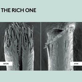 The Rich One - balsam reparator hidratant