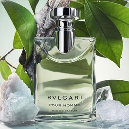 Pour Homme - Apa de parfum