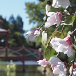 Replica Springtime in a Park - Lumanare parfumata