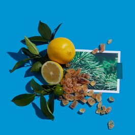 Musc Impérial Cologne Absolue - Eau de Parfum