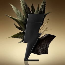 Bad Boy - Le Parfum Eau de Parfum
