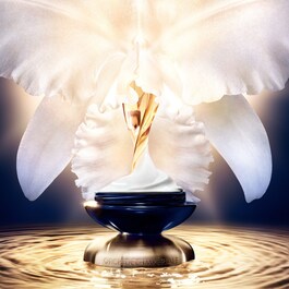Orchidée Impériale The Rich Cream - Refill