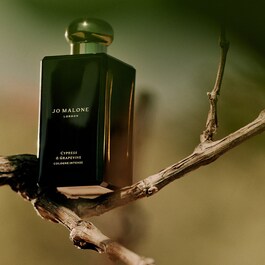 Cypress & Grapevine - Cologne Intense
