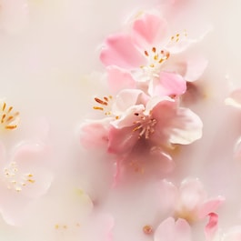 The Ritual of Sakura - Rezerva pentru betisoare parfumate
