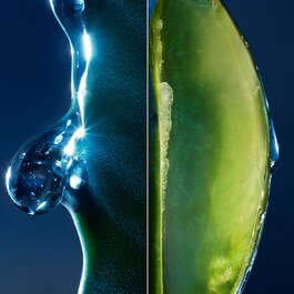 Sauvage The Cleanser - Demachiant pentru față - Cărbune negru și cactus