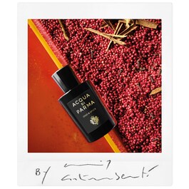 Signatures of the Sun Oud & Spice - Apă de parfum Woody Spicy